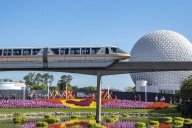 5-Vehicle Pile up Shuts Down Disney World’s Epcot Center Drive