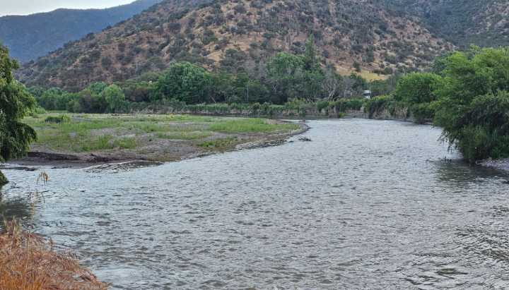 Menor de 14 años está desaparecido en Isla Maipo: se habría lanzado al río