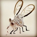 Mosquitoes Discovered In Iceland