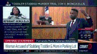 Toddler Stabbed Murder Trial: Defense Opening Statement