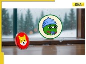 Shiba Inu Price Prediction: 2 SHIB Rivals With 50x Potential in the Next BullRun