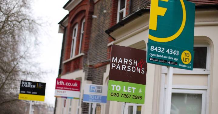 Six new rules that will affect everyone renting in UK - from bidding war ban to keeping pets