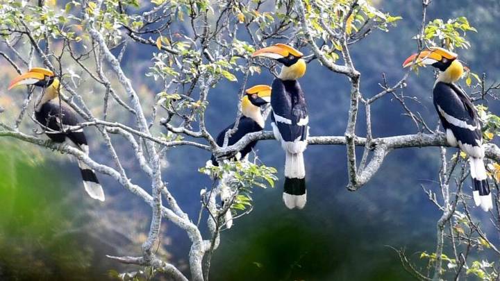 Why has IUCN red-flagged the Western Ghats?