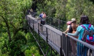 La protección y preservación del Bosque de Chapultepec