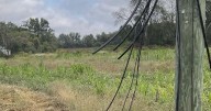 Joe Wheeler EMC offers reward after fiber line cuts in North Alabama