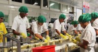 Empleo pisa el acelerador: los tres sectores que crearon más puestos de trabajo