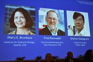 Estudios sobre el sistema inmune. Quiénes son los ganadores del premio Nobel de Medicina 2025