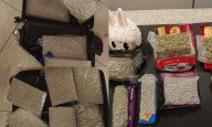 Chennai Customs seizes Rs 10 crore worth of hydroponic ganja, arrests smuggler