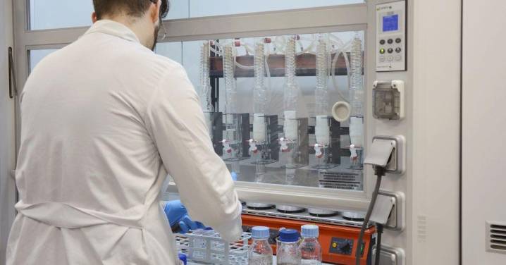El Campus Auga de Ourense premia nueve proyectos de investigación