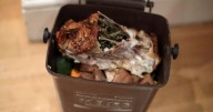 Council cabinet to discuss plans for introduction of new weekly food waste recycling