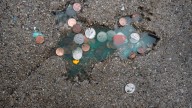 Chicago 'Rat Hole': Different rodent more than likely created indent