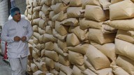 Bialtec, el emprendimiento paisa que revoluciona la nutrición animal con biotecnología en Colombia y Brasil