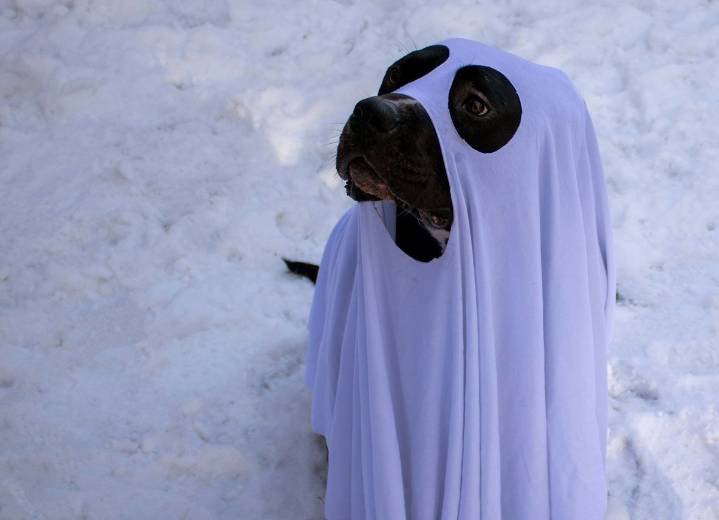 Kentucky’s Biggest October Snowstorm Was a Halloween Surprise
