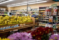 Houston-Area SNAP benefits at risk: By the numbers