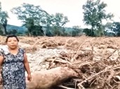 Desastre Agrícola en Veracruz: ‘Los campesinos lo perdieron todo, se lo llevó el agua’