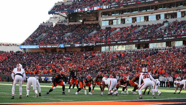 Bengals asking fans to ‘Stripe the Jungle’ for Sunday’s game against Lions