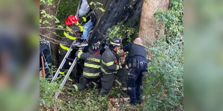 Driver, dogs rescued after being trapped in crashed car along tree line in Tennessee