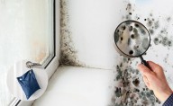 ¿Humedad en casa? Así puedes hacer un deshumidificador casero