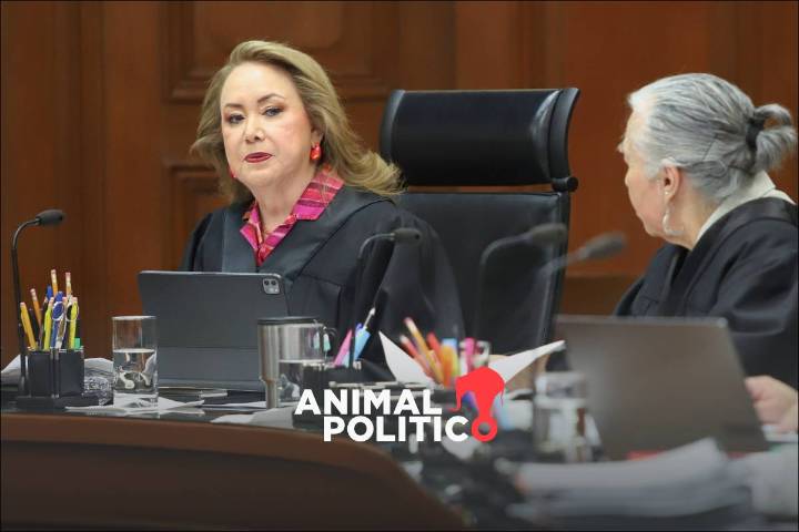 Retiran proyecto de Esquivel Mossa tras alerta de organizaciones sobre riesgo a defensa de derechos