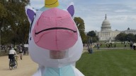 A frog, a lobster and a unicorn walked into a No Kings protest