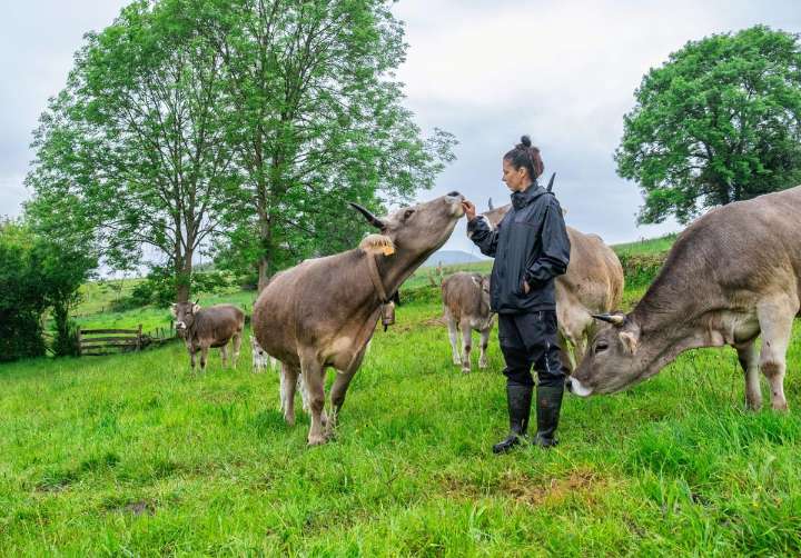 Alimentos ecológicos de Asturias: cuidan tu salud y protegen al planeta