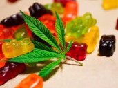 ¿Greg Abbott firmó la prohibición total del THC? Cuál fue su decisión en Texas