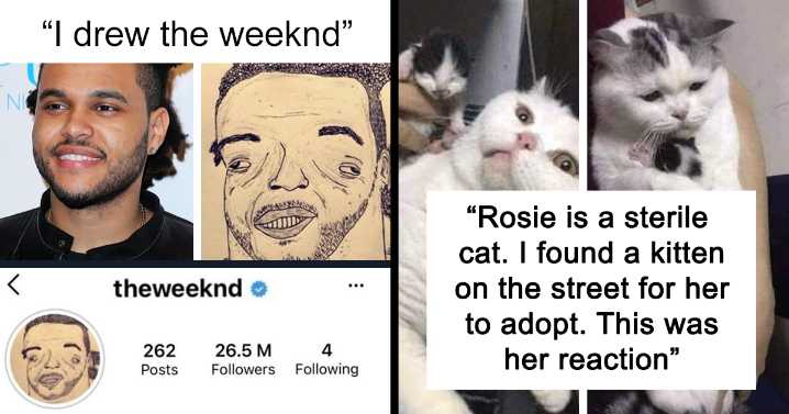 “Very Important Positivity”: If You Are Feeling Down, These 41 Wholesome Posts Might Make Your Day