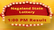 Nagaland lottery sambad result today 2 October 2025 OUT: Check winning numbers