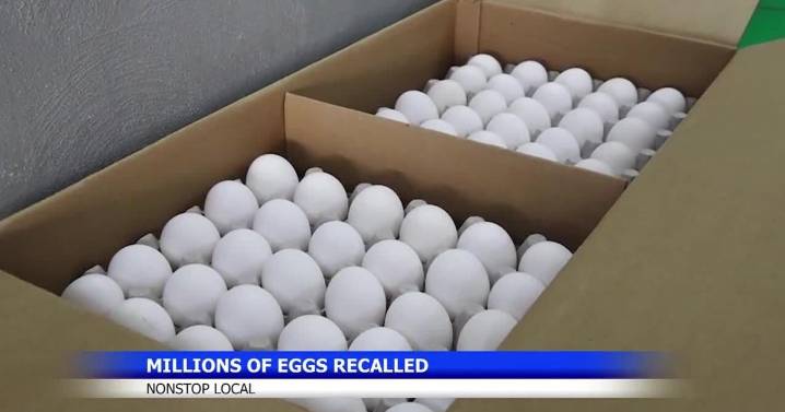 Millions of eggs recalled by Black Sheep Egg Company due to salmonella
