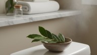 Poner hojas de laurel en el baño: para qué sirve y por qué lo recomiendan