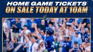 Ontario to re-examine ticket scalping law amid Blue Jays World Series 'gouging'