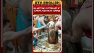 Milk, Honey & Curd Offered To Baba Mahakaleshwar Before Bhasma Aarti On Dhanteras