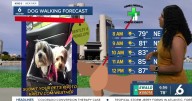 Sunny conditions stick around with some early showers and storms
