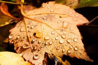 Nor’easter exits Mass. on Tuesday with final rain, cold temperatures