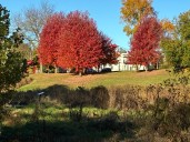 The time is right for sampling Lake County's fall colors