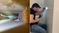 California Woman Was Startled By Noise Coming From The Walls In Bathroom Only To Find Something Furry Inside