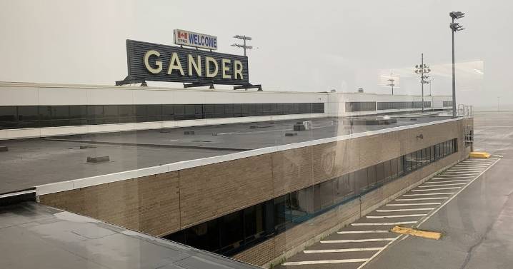 Catfishing: N.L. airport issues warning to travellers