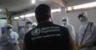 Drug-Resistant Superbugs Are ‘Outpacing Modern Medicine,’ the World Health Organization Warns