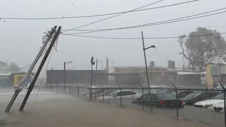 Huracán Melissa: Cocodrilos a la deriva agregan un peligro imprevisto en Jamaica