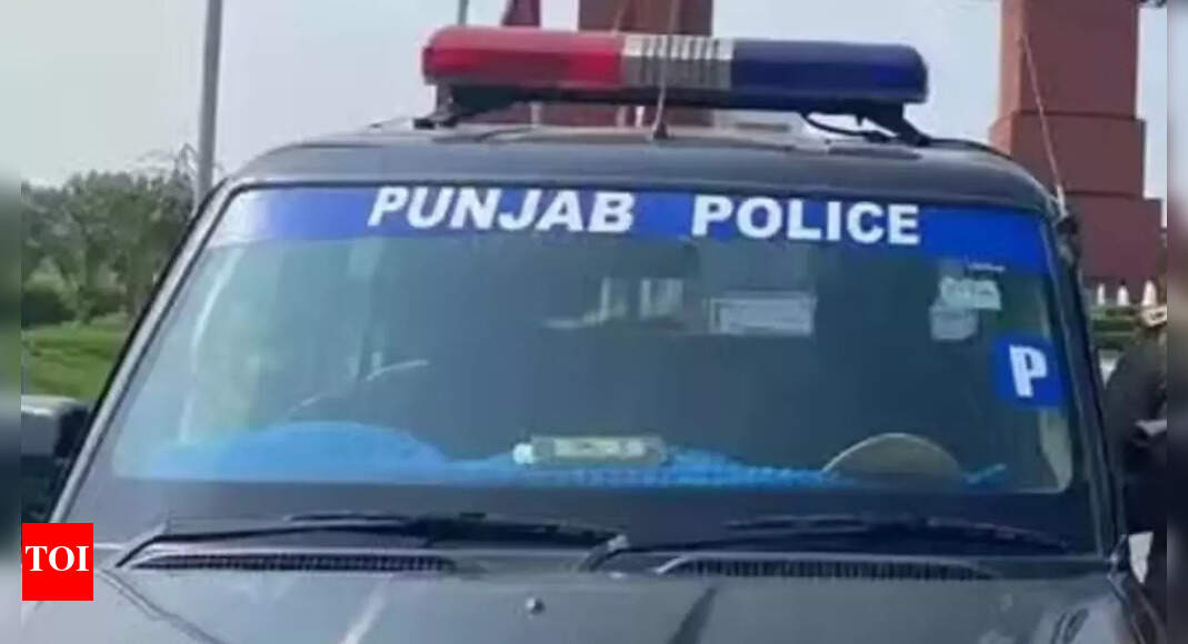 Punjab: 3 SFJ operatives arrested for writing pro-Khalistan graffiti on schools’ walls; cops trace foreign funding link
