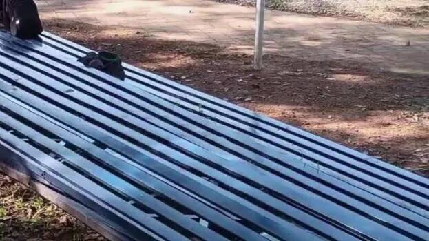 Students sustain injuries after gallery collapses during Sardar Vallabhbhai Patel's birth anniversary function in Kottayam