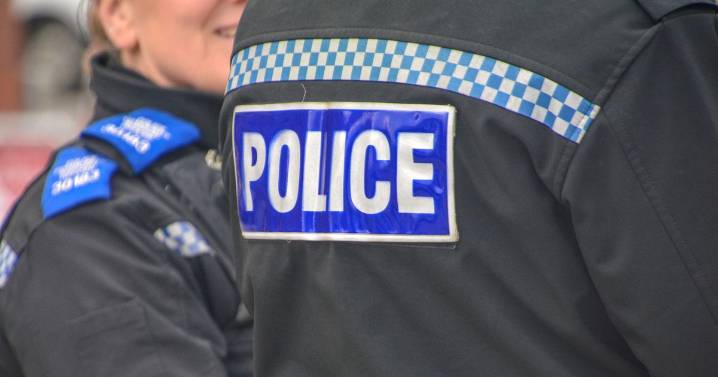 Devon court latest: 26 people appear including axeman and fudge raider