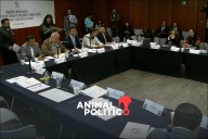Comisiones del Senado aprueban reformas a la Ley Aduanera por mayoría