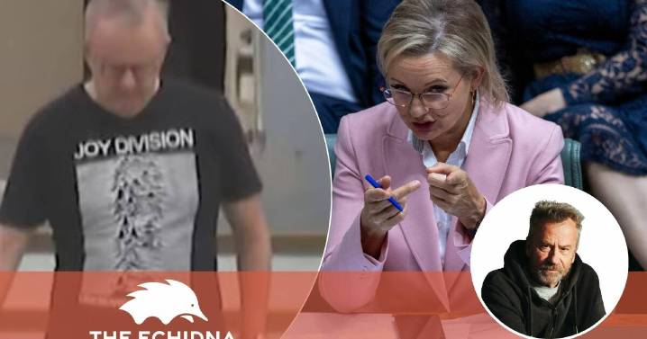 Echidna | Anthony Albanese Joy Division T-shirt stirs political whirl