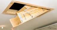 UK homeowners warned to check attics this month for pests which are illegal to remove
