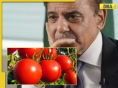 BIG TROUBLE for Shehbaz Sharif govt, common Pakistanis hit hard! Tomato prices..