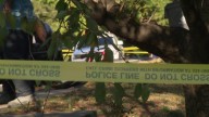 Eyewitness recounts terrifying encounter with suspect during Charlotte crime spree