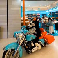 Jellycat’s ‘Road Trip to Joy’ brings whimsy to Nordstrom Michigan Avenue