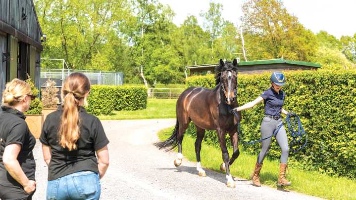 New pre-vetting document to make buying and selling horses smoother