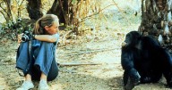 Jane Goodall, trailblazing naturalist whose intimate observations of chimpanzees transformed our understanding of humankind, has died